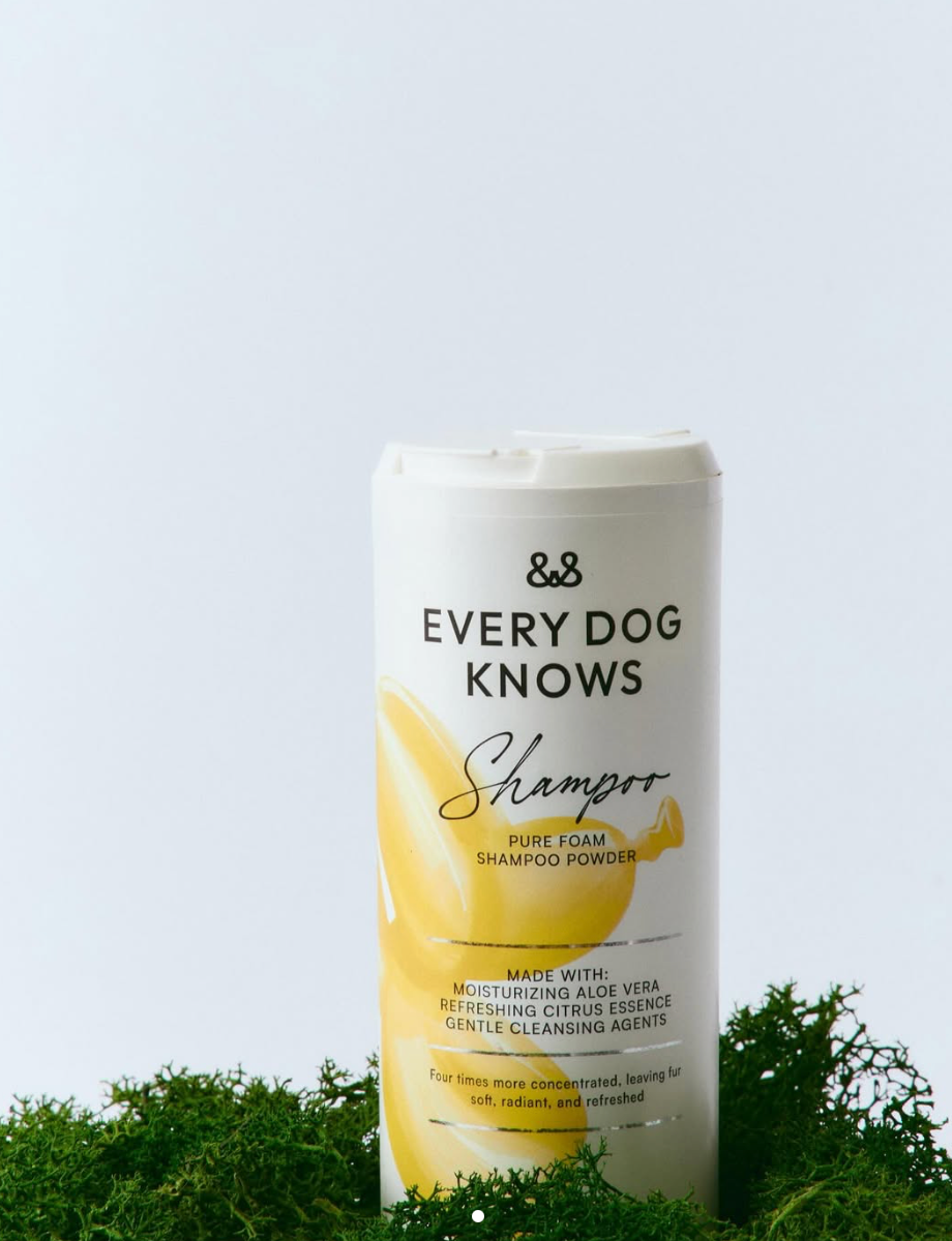 Shampoing en poudre Pure Foam