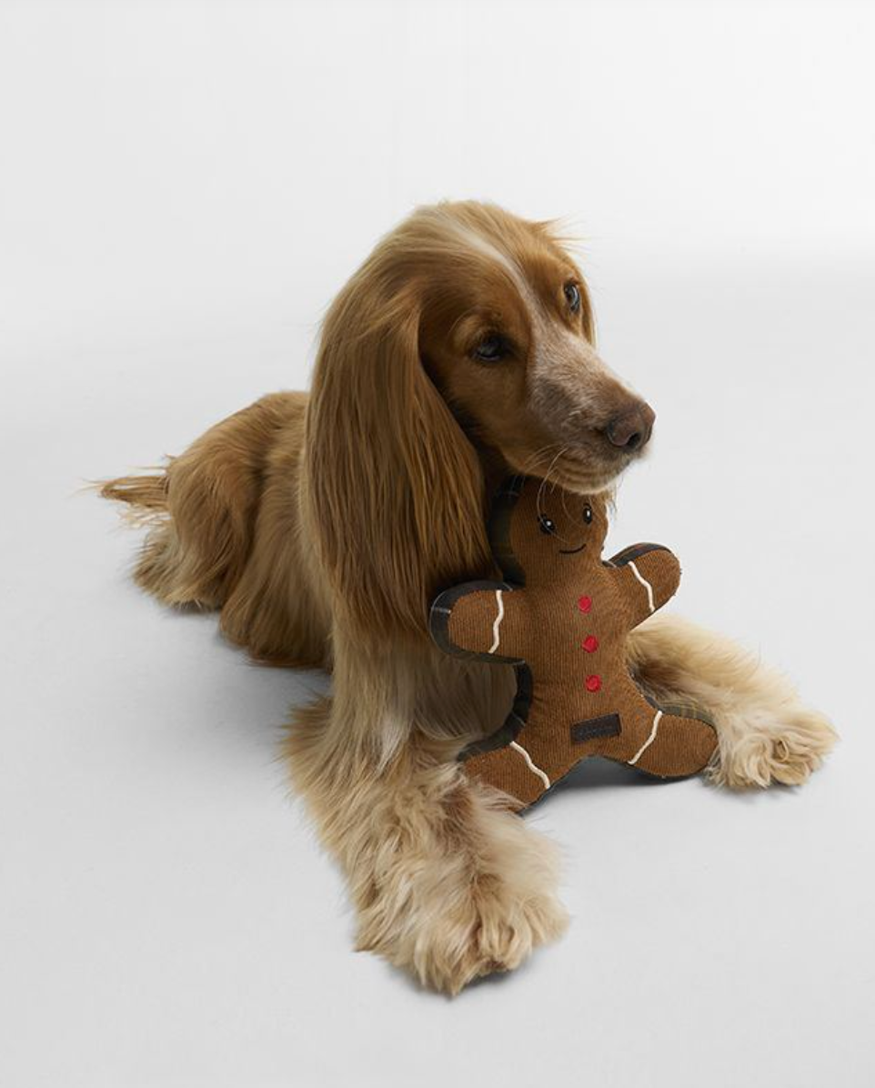 Jouet pour chien Barbour Bonhomme en Pain d'Épices