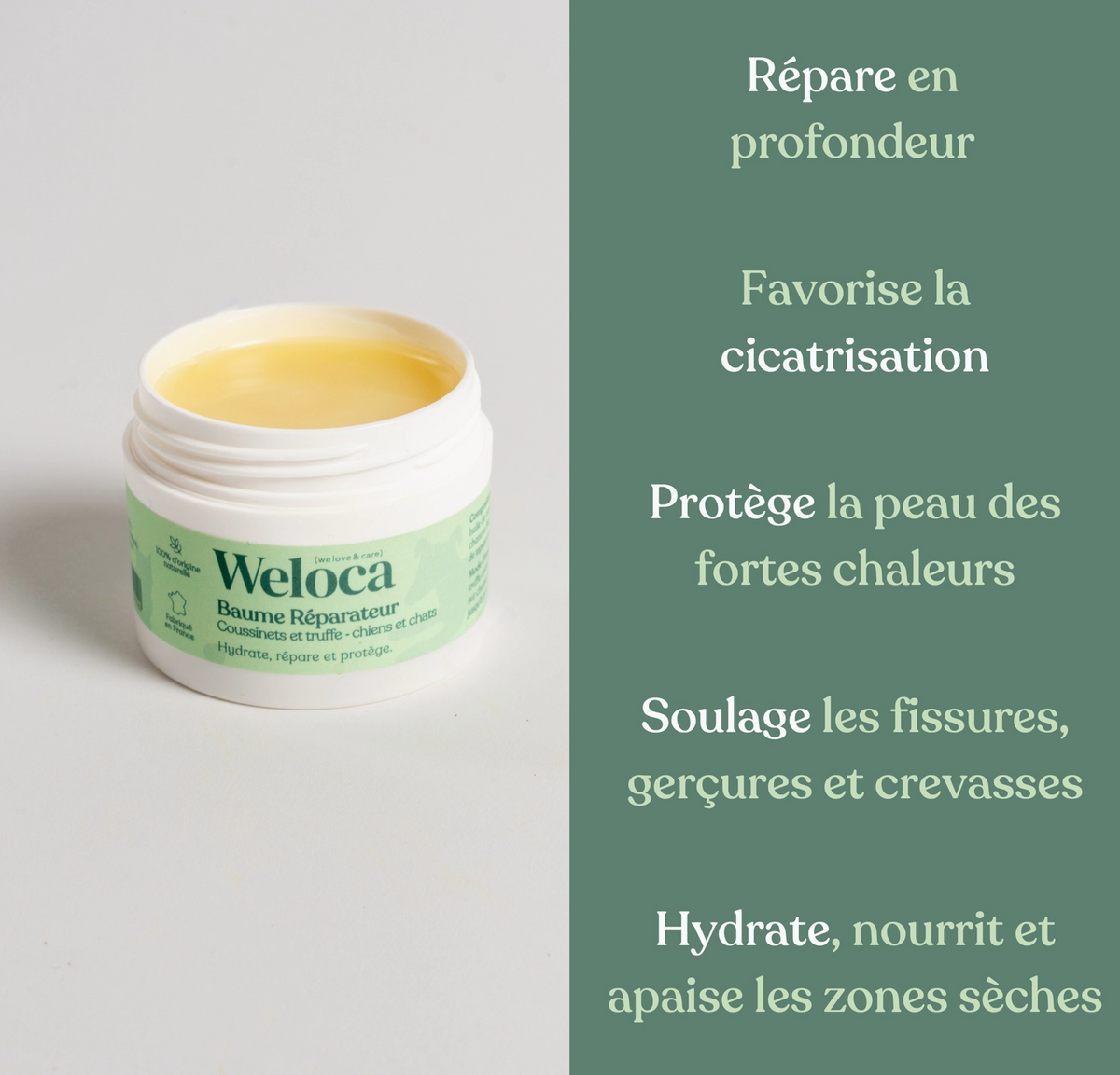 Baume naturel réparateur coussinets & truffe | Chien et chat