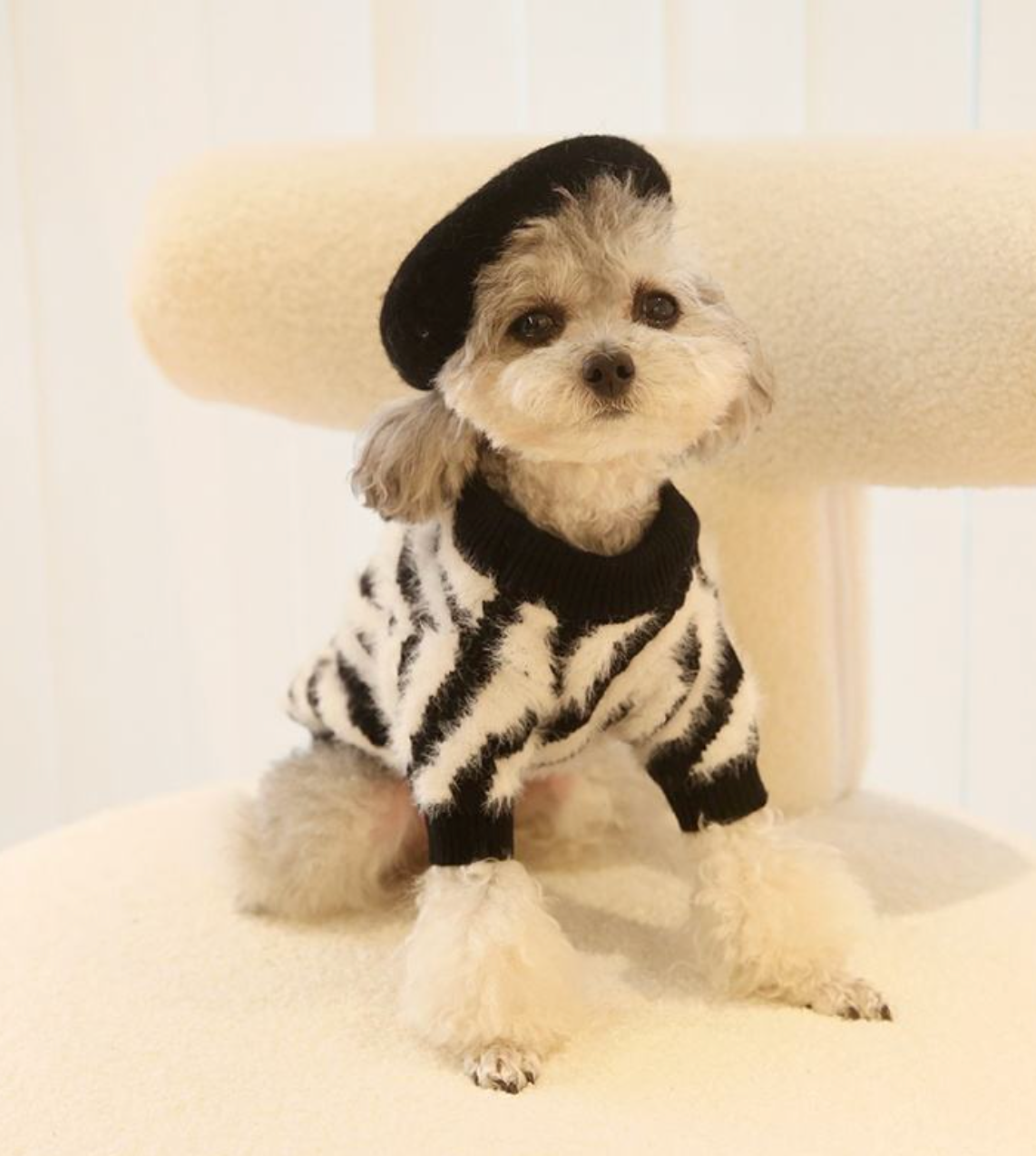 Petit Béret en laine pour Chien et Chat
