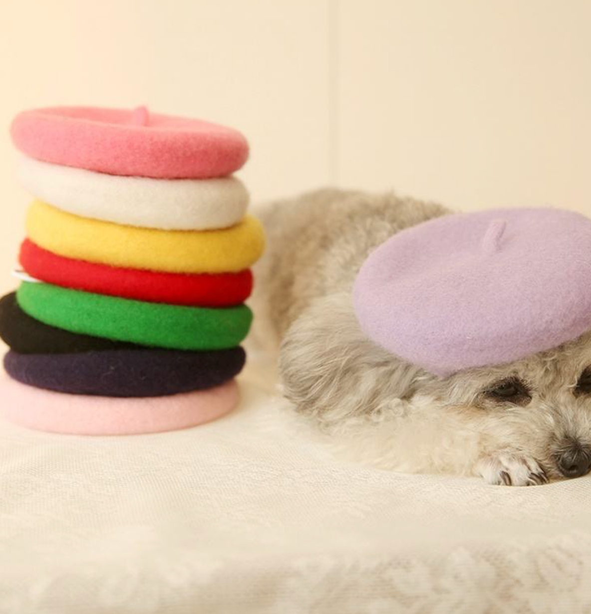 Petit Béret en laine pour Chien et Chat