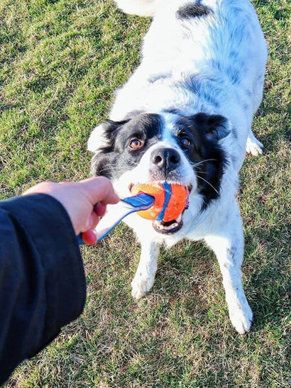 Balle pour chien Ultra Tug Chuck it!