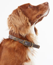 Collier en cuir Tartan