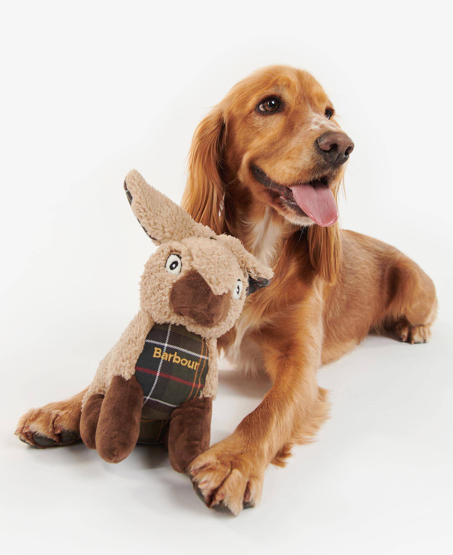 Jouet pour chien Lapin Barbour