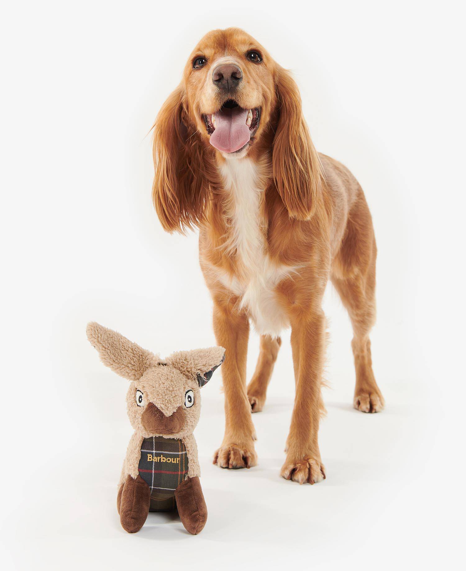 Jouet pour chien Lapin Barbour