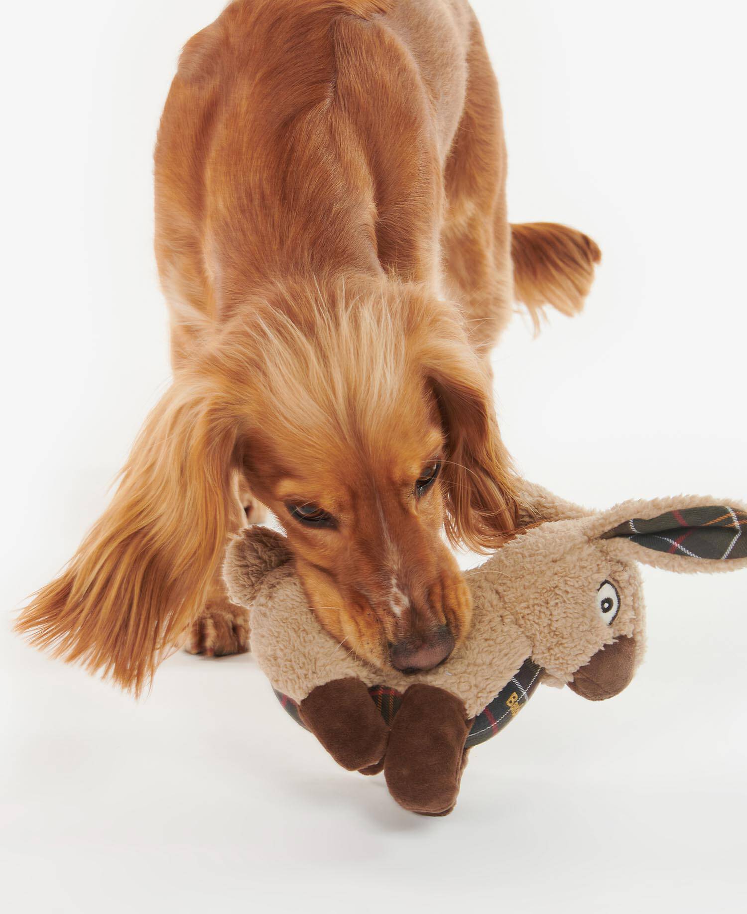 Jouet pour chien Lapin Barbour
