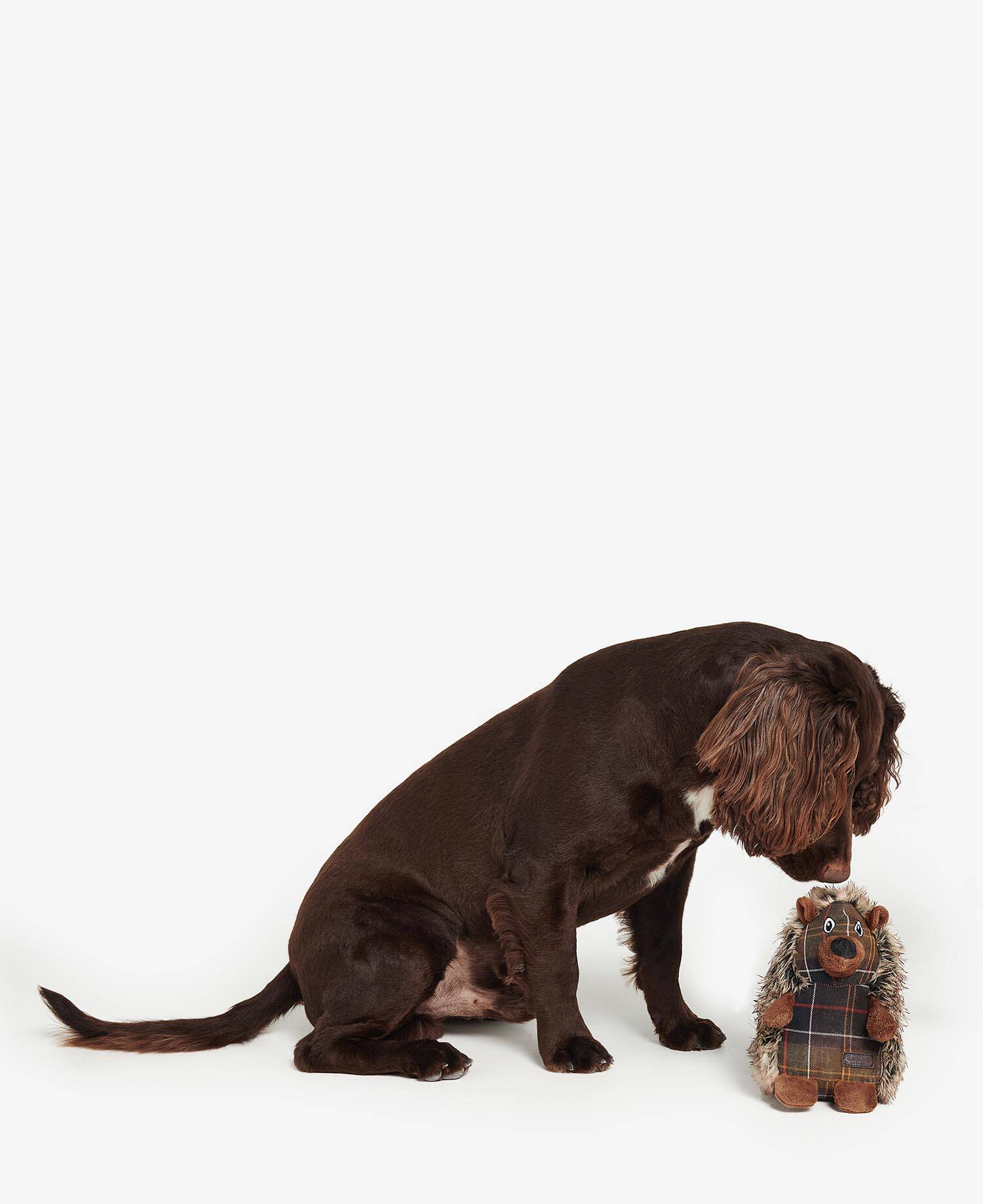 Jouet pour chien Hérisson Barbour