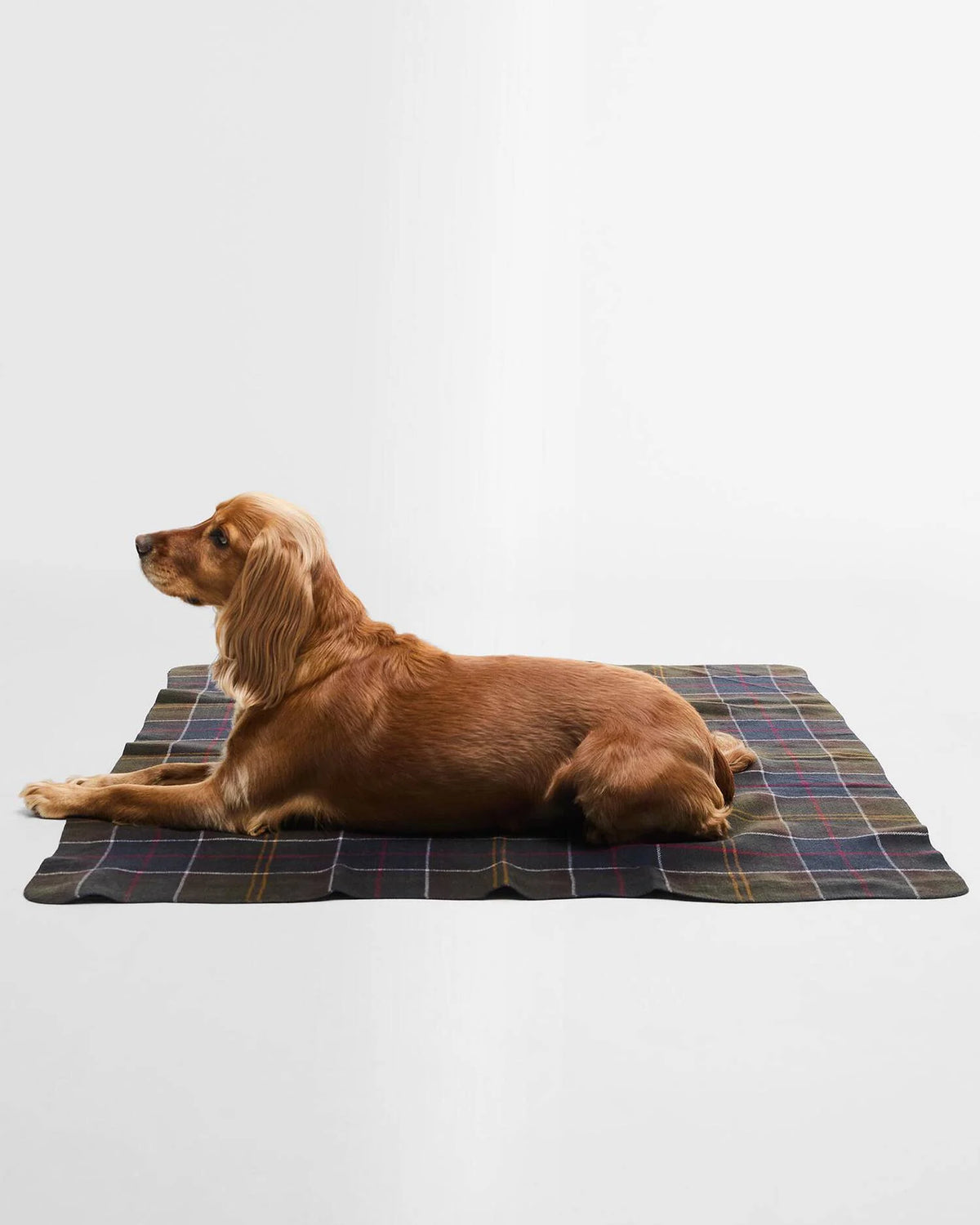 Couverture pour chien Barbour à carreaux
