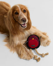 Jouet pour chien Barbour Rouge-Gorge