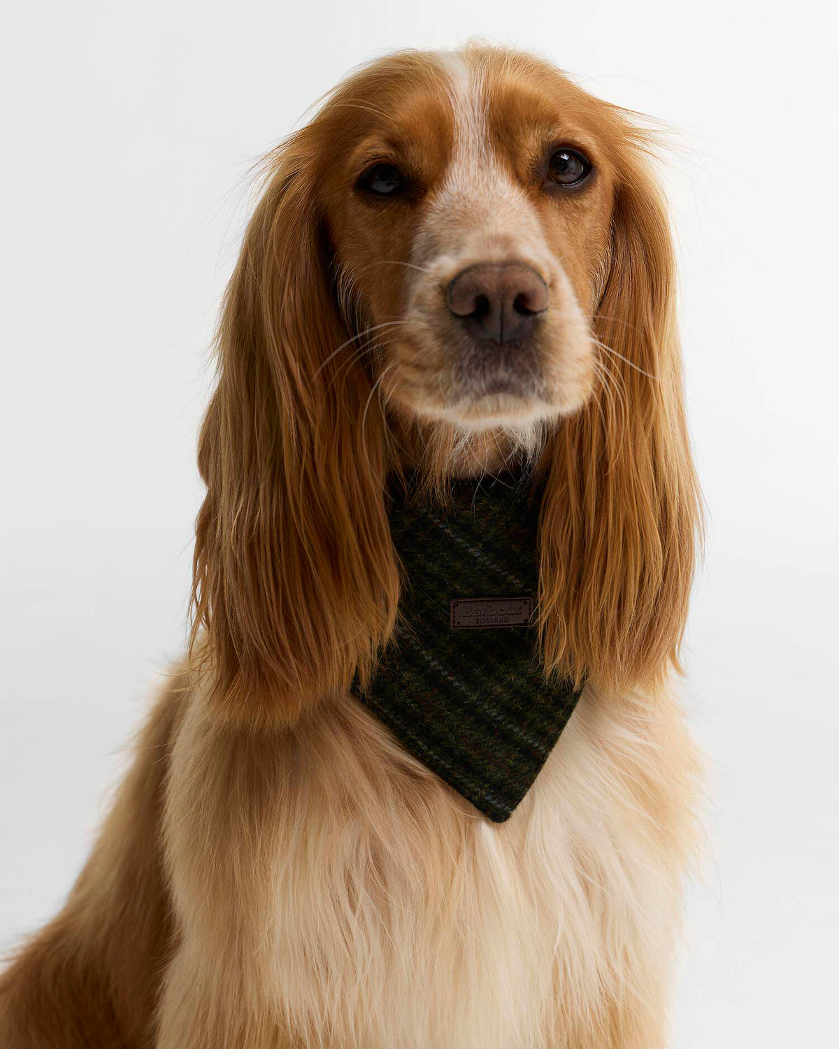 Bandana Barbour Wilkin