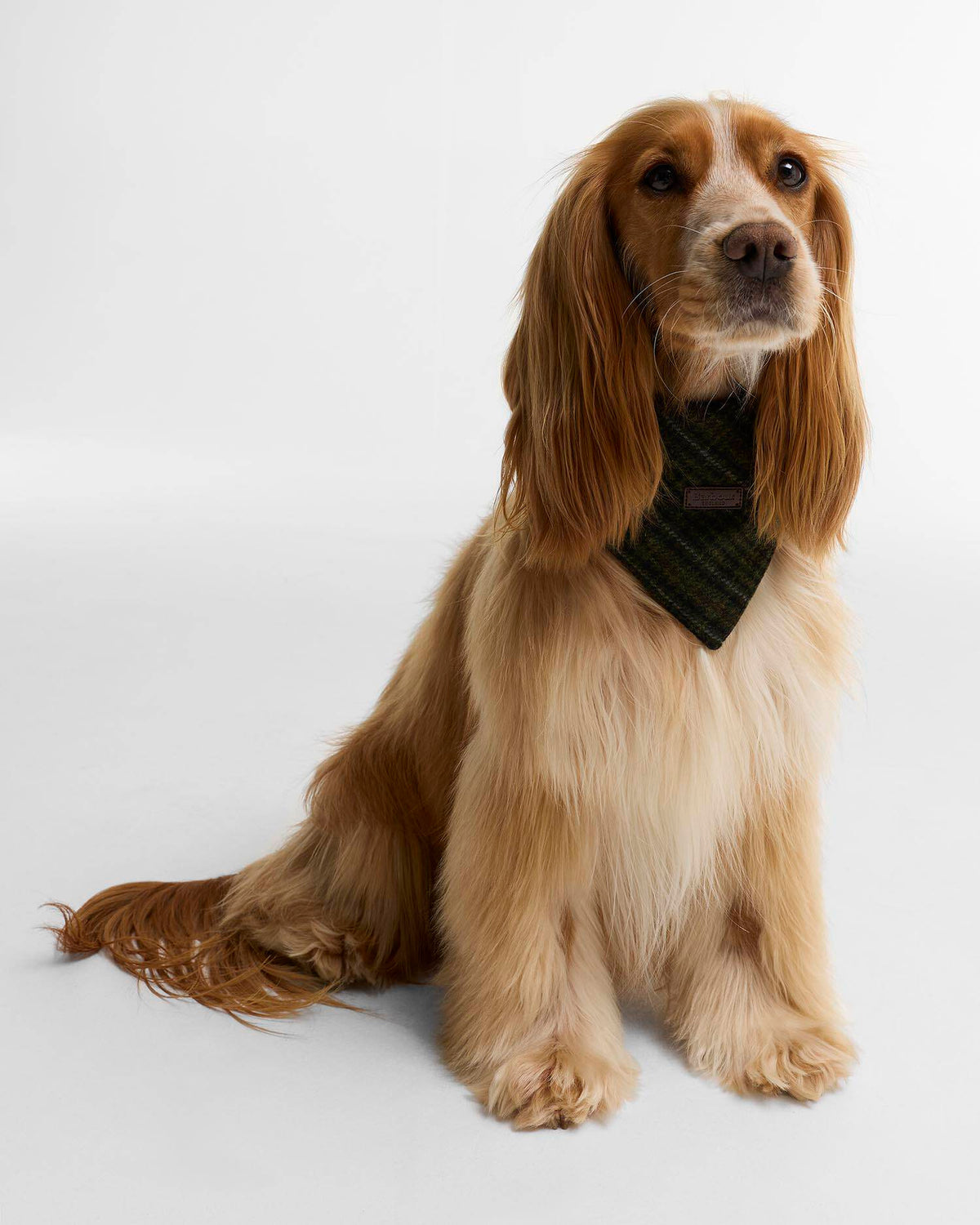 Bandana Barbour Wilkin