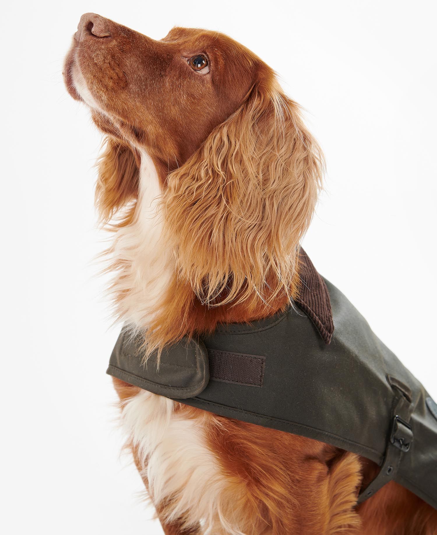 Manteau Wax Olive