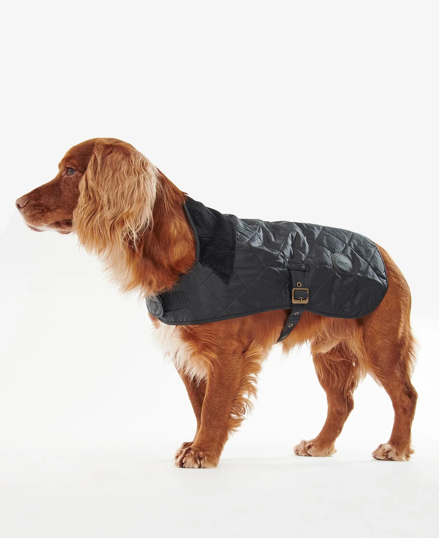Barbour Quilted Dog Coat Black