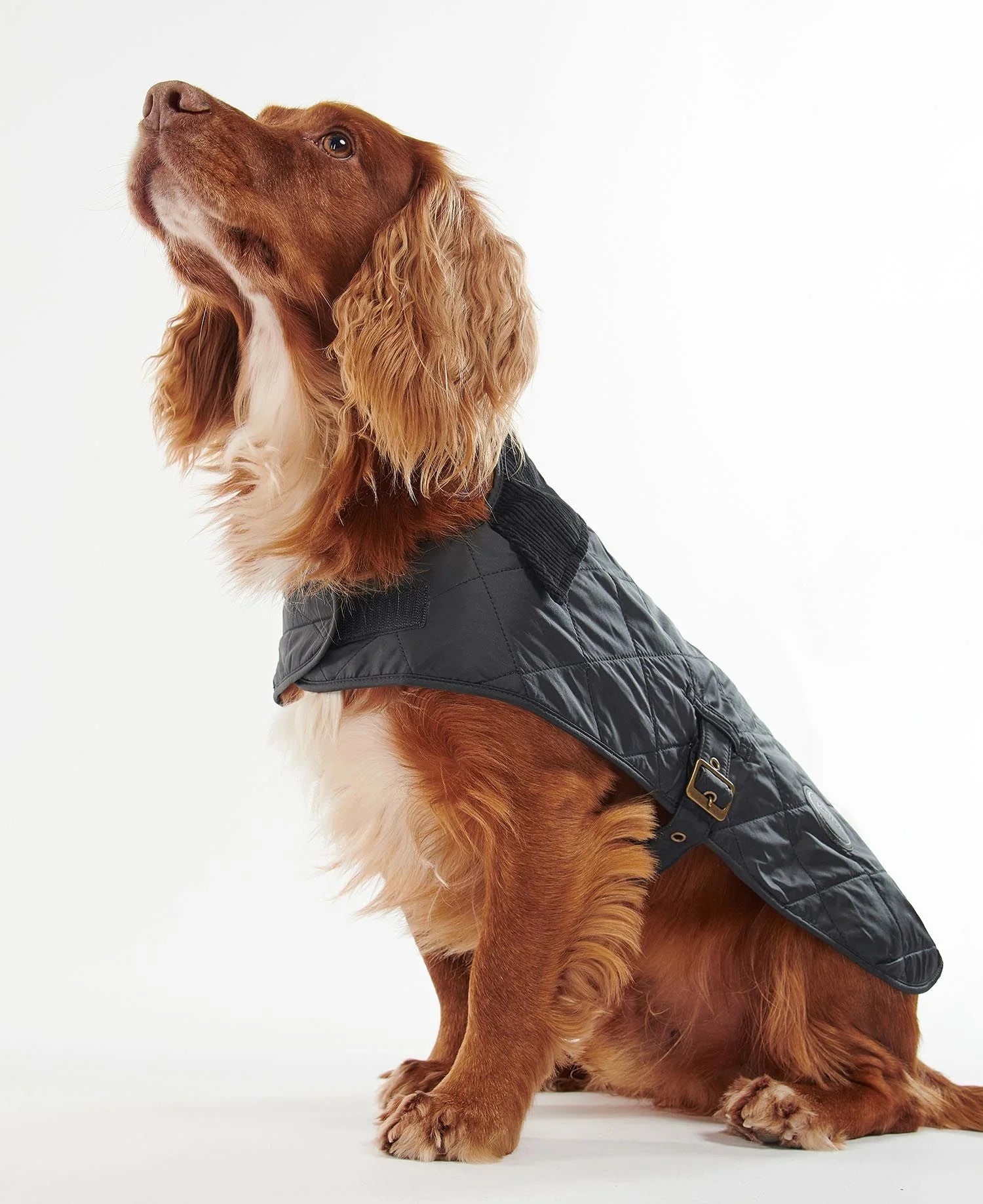 Barbour Quilted Dog Coat Black