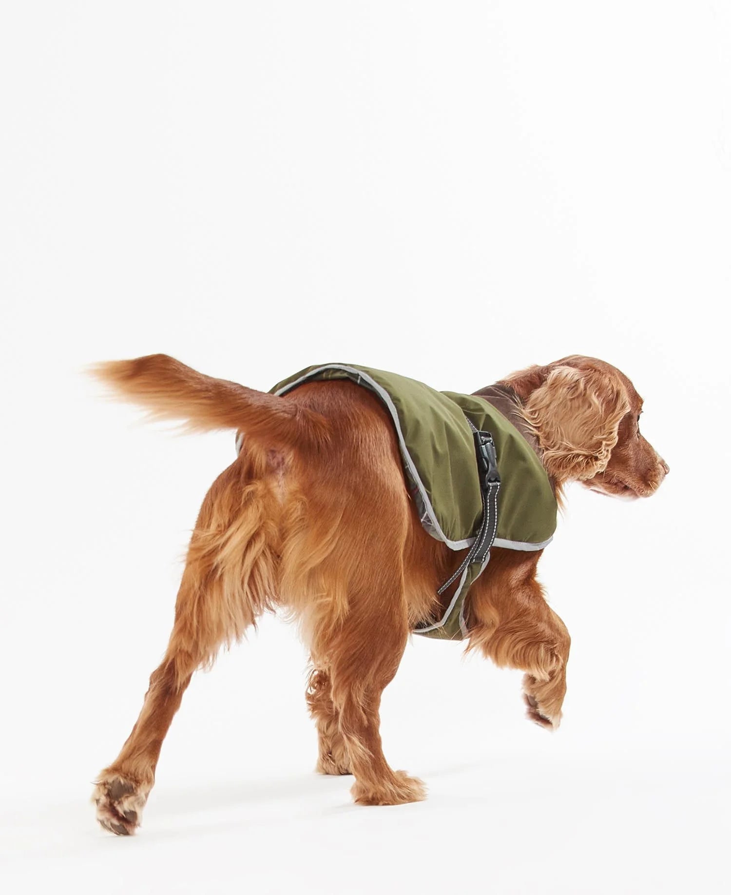 Barbour Manteau Waterproof Monmouth Olive