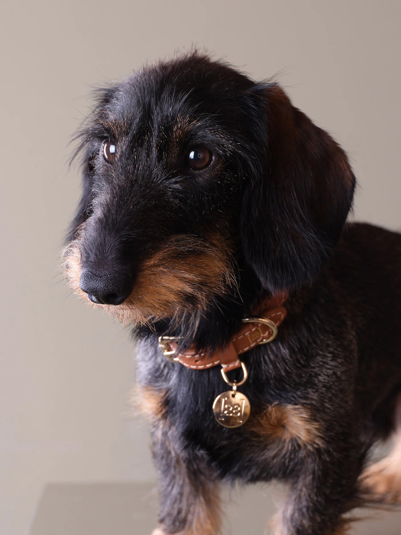 Collier tressé en cuir Ferdinando