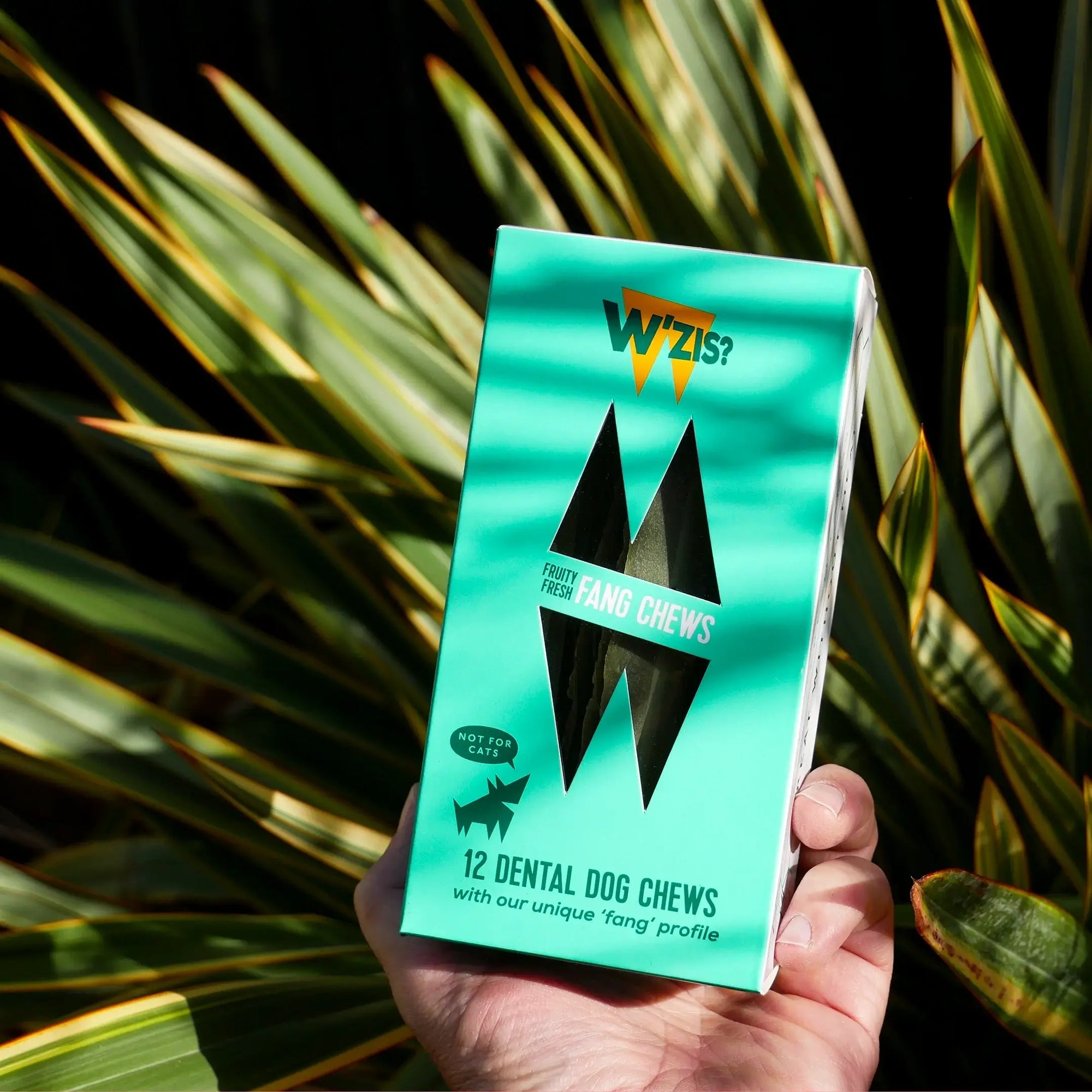 Sticks dentaires vegan