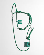 Laisse mains libres en corde Vert Forêt