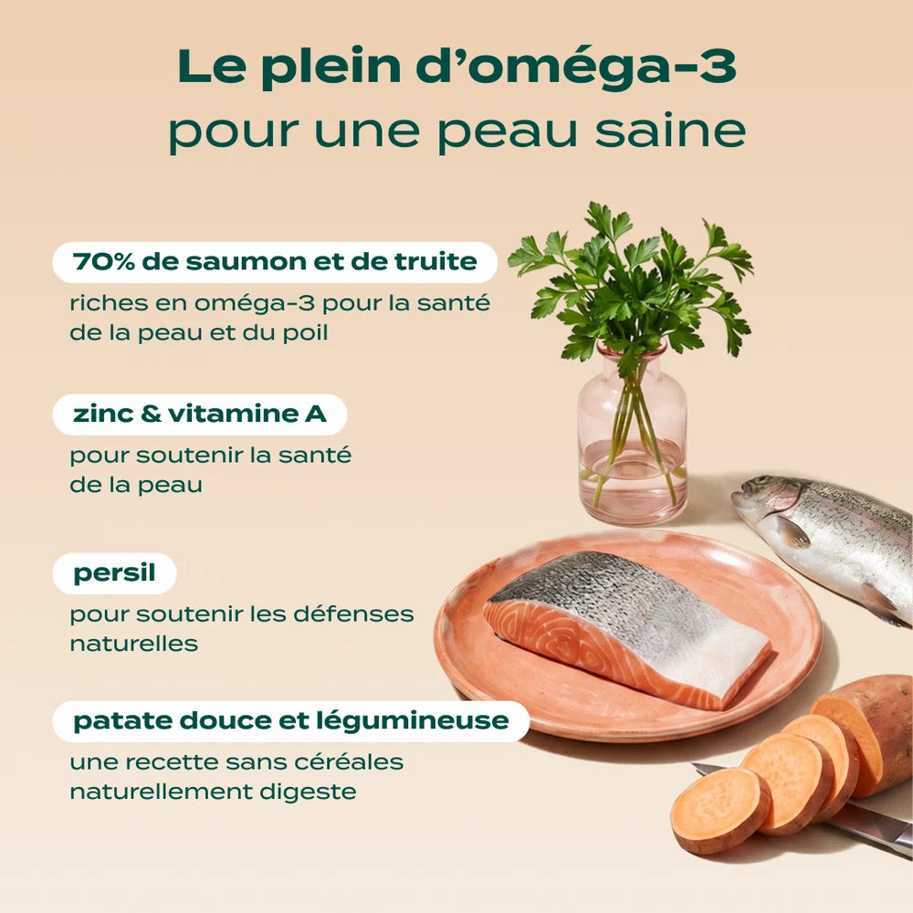 Croquettes sans céréales au Saumon - 2,5kg