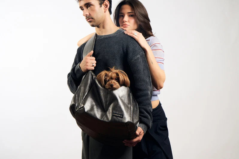 Sac de transport pour chiens et chats - Gris métalisé