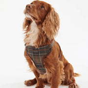 Harnais Tartan Barbour