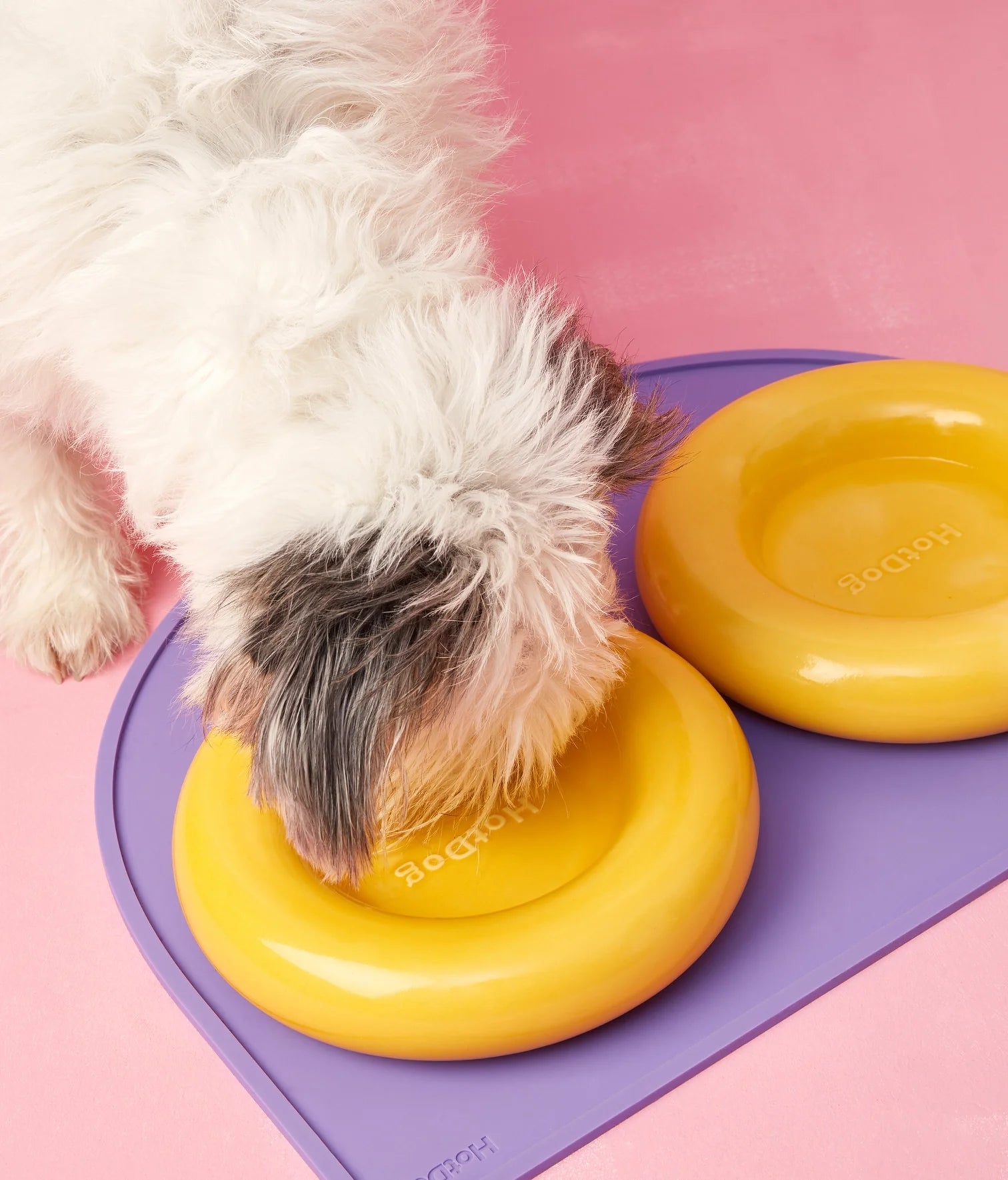 Gamelle en céramique