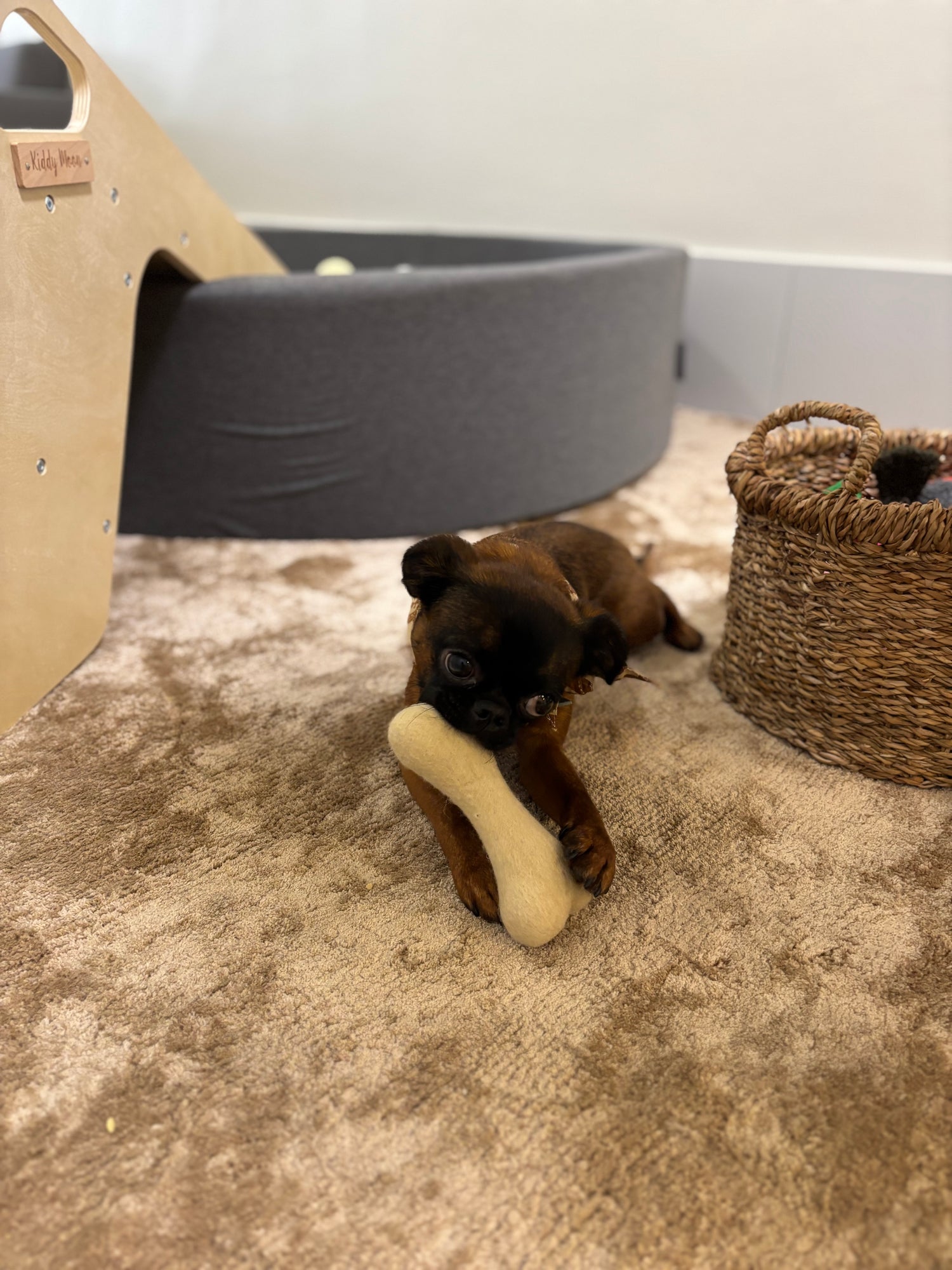 Garderie | Carnet de 20 heures de garde