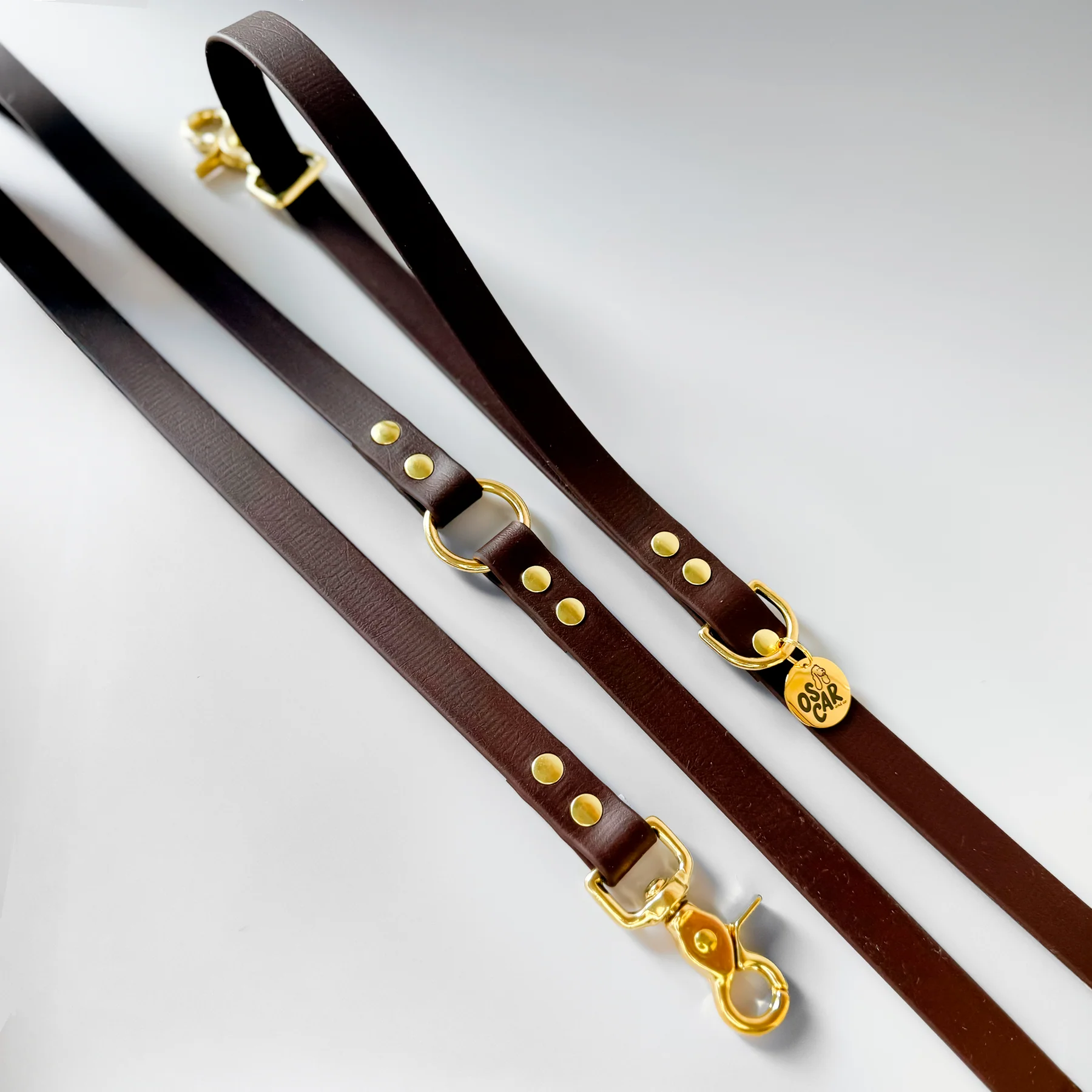 Laisse multi-positions