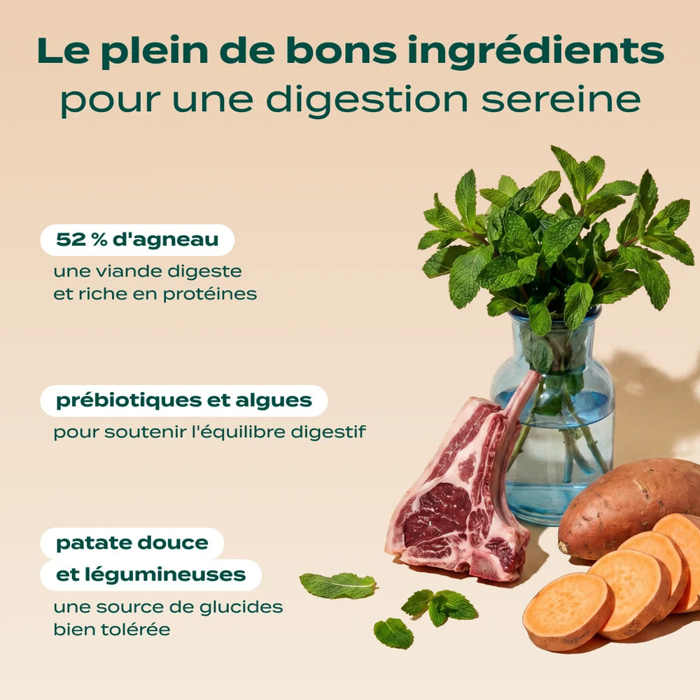 Croquettes sans céréales à l'agneau - 2,5kg