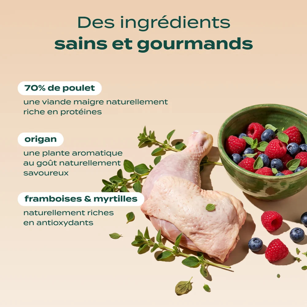Pâtée chien light - Poulet, Framboise, Origan