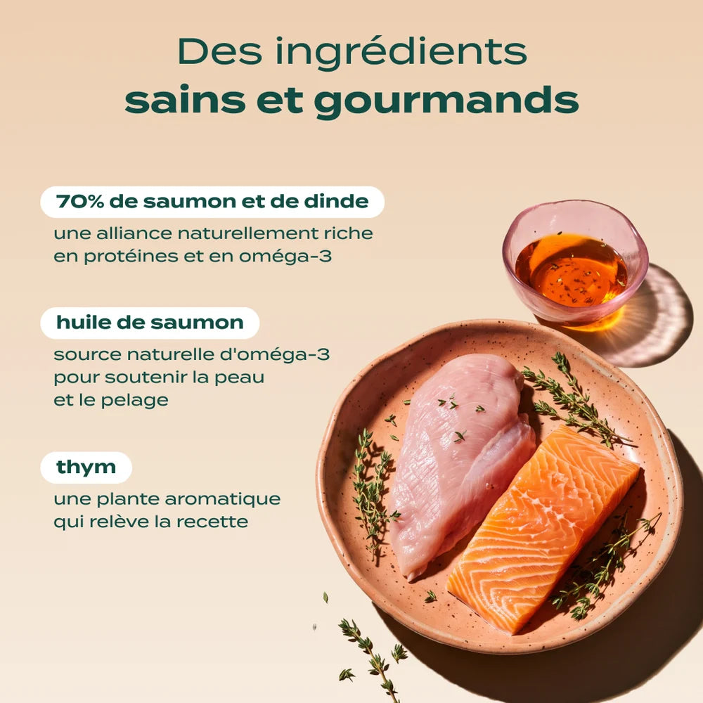 Pâtée pour chien - Saumon, Dinde et Canneberge