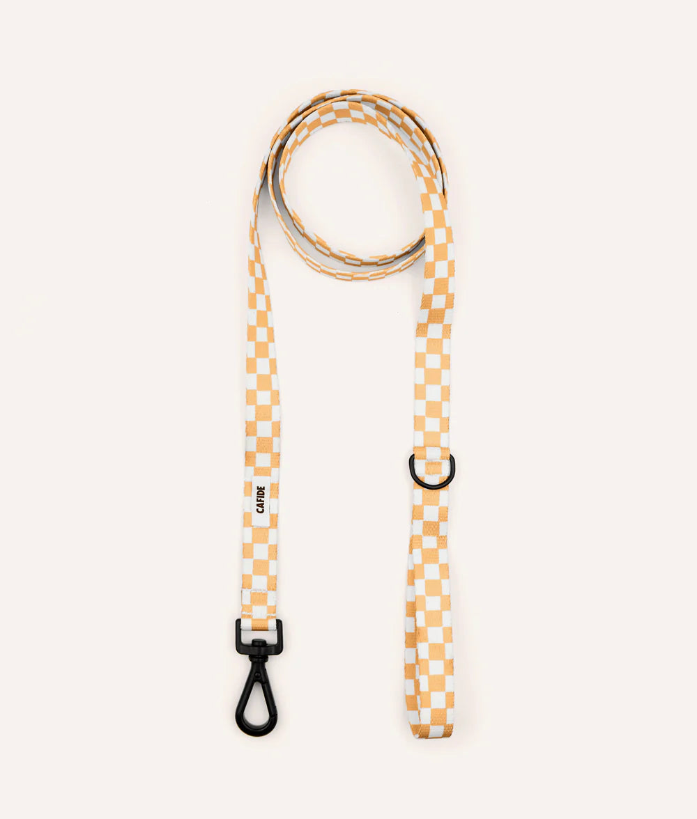 Laisse simple Juno orange