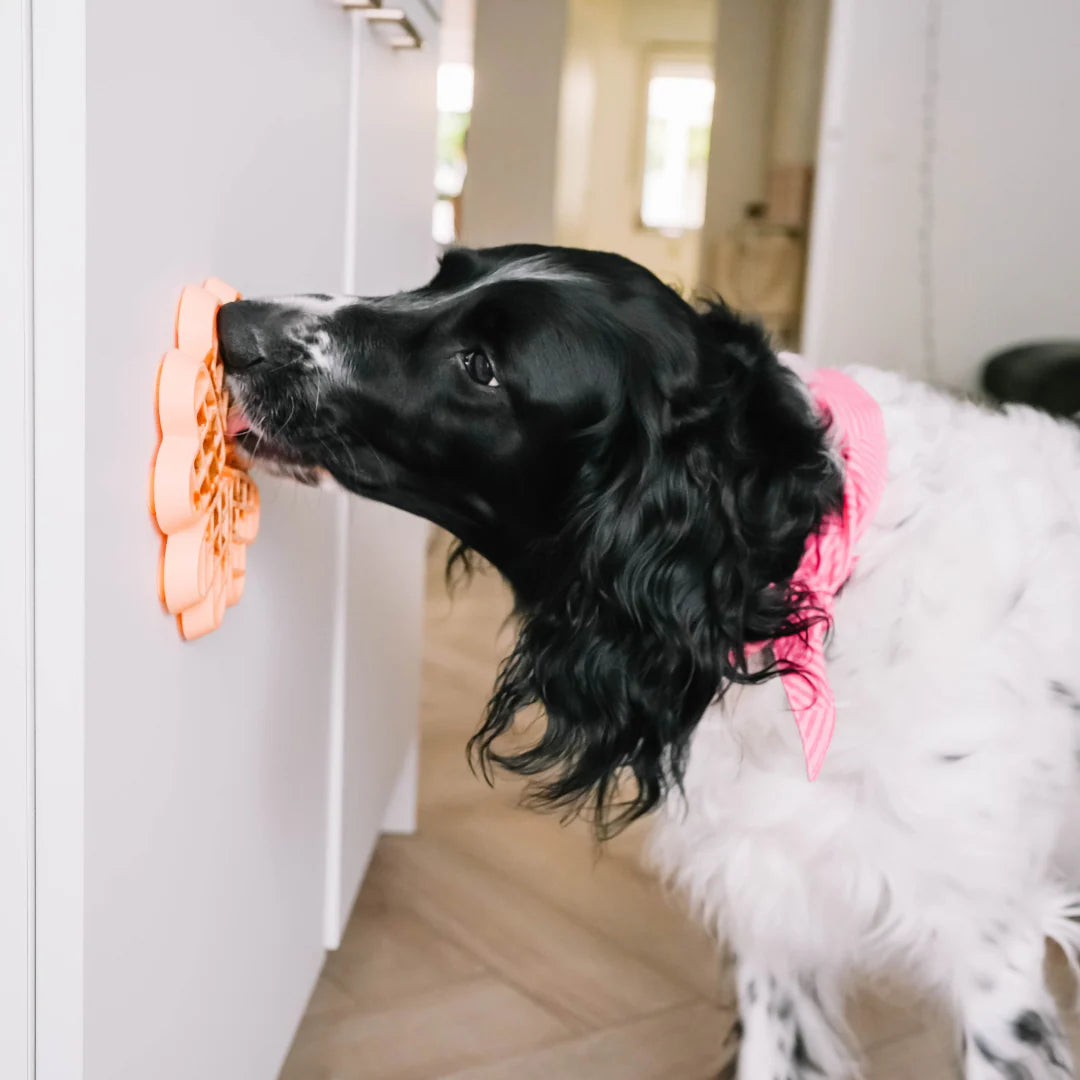 Tapis de léchage Waffle