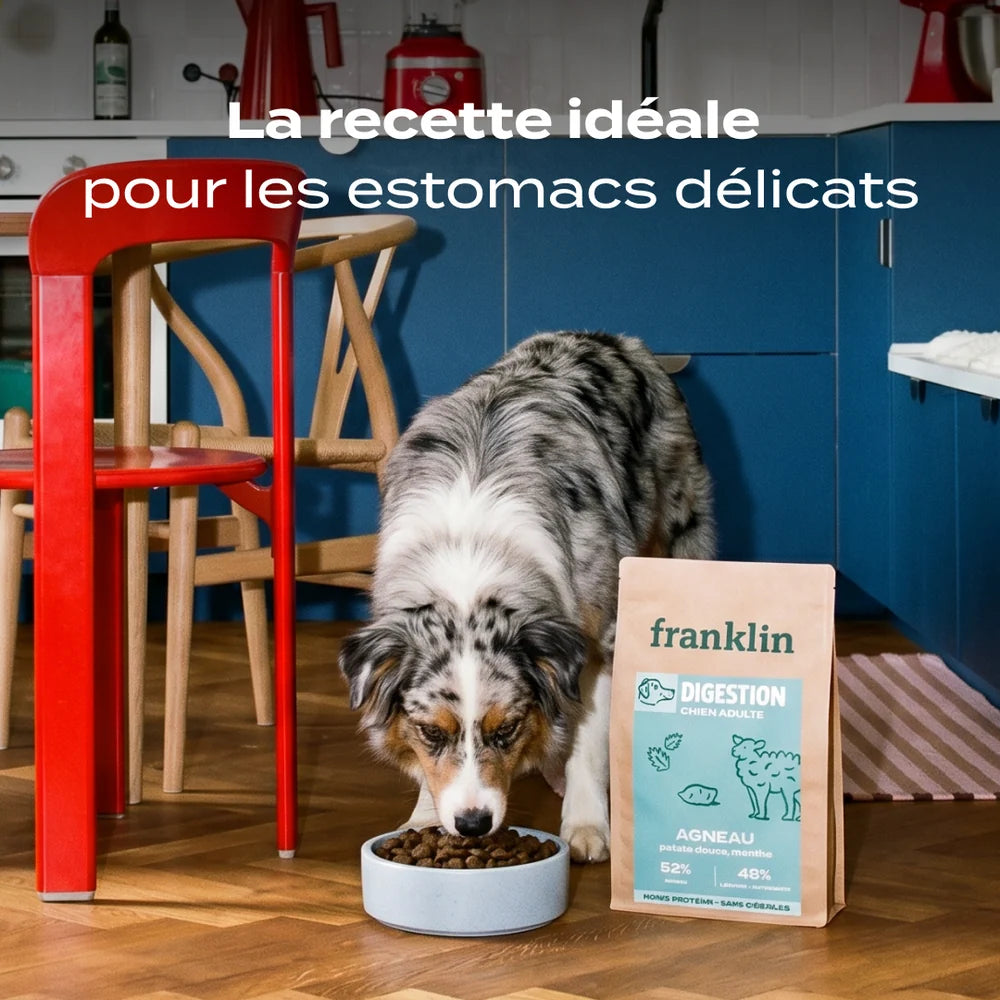 Croquettes sans céréales à l'agneau - 2,5kg