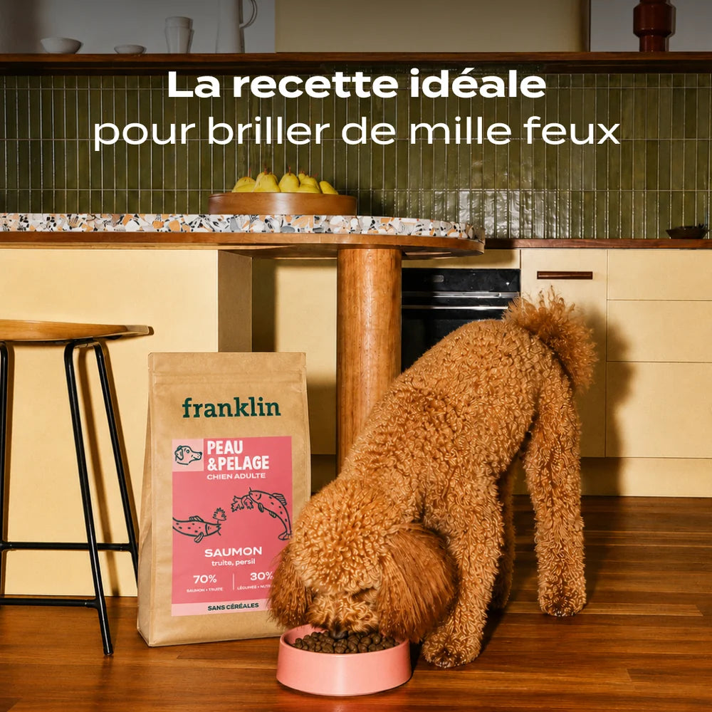 Croquettes sans céréales au Saumon - 2,5kg