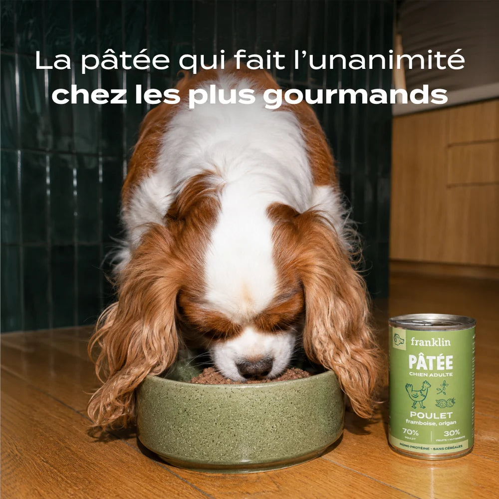 Pâtée chien light - Poulet, Framboise, Origan