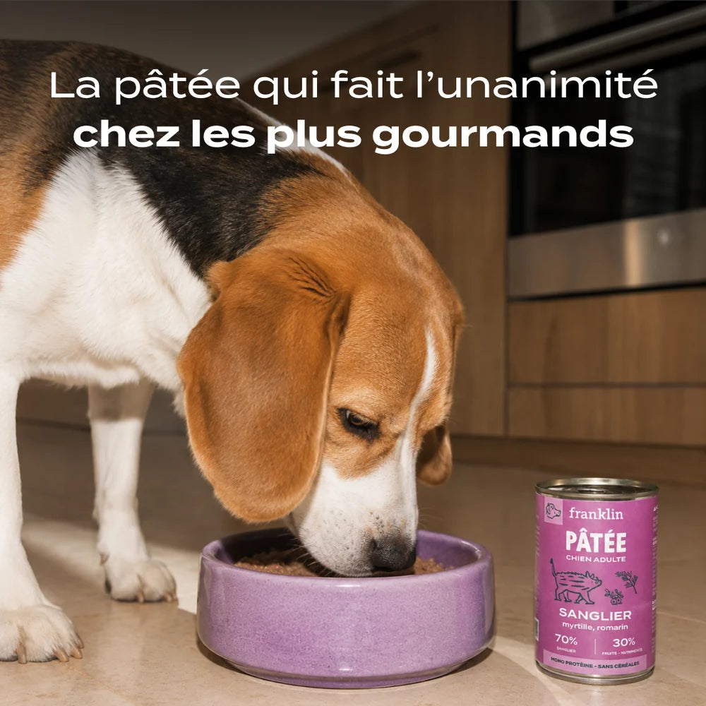 Pâtée chien sensible - Sanglier, Myrtille et Romarin