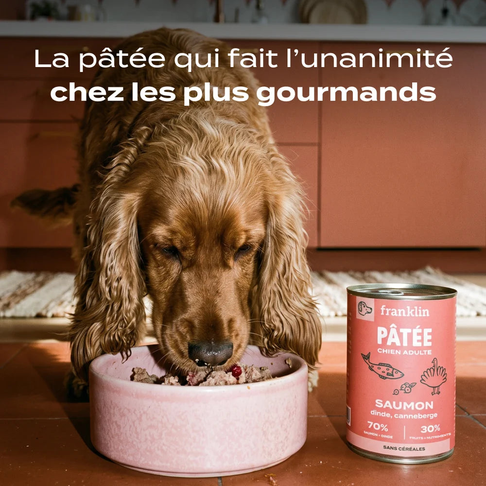 Pâtée pour chien - Saumon, Dinde et Canneberge