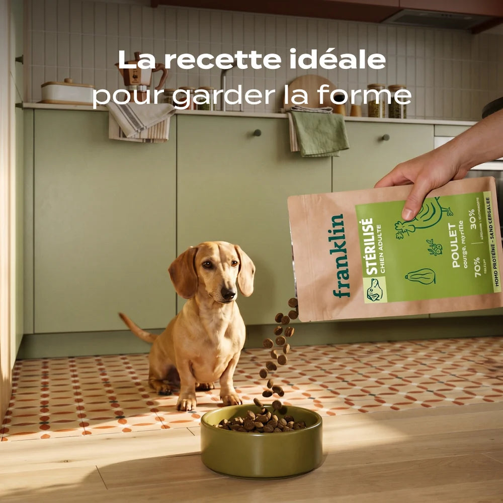 Croquettes sans céréales au poulet - 2,5kg