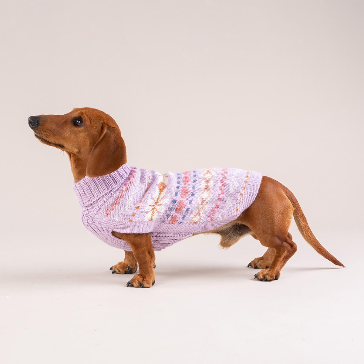 Pull pour chien en alpaga Lavande Sunrise