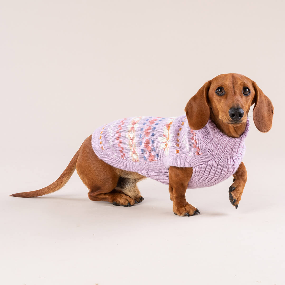 Pull pour chien en alpaga Lavande Sunrise