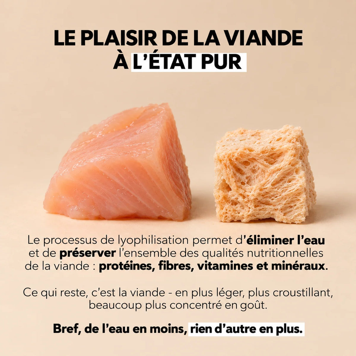 Les Lyophilisées - Poulet