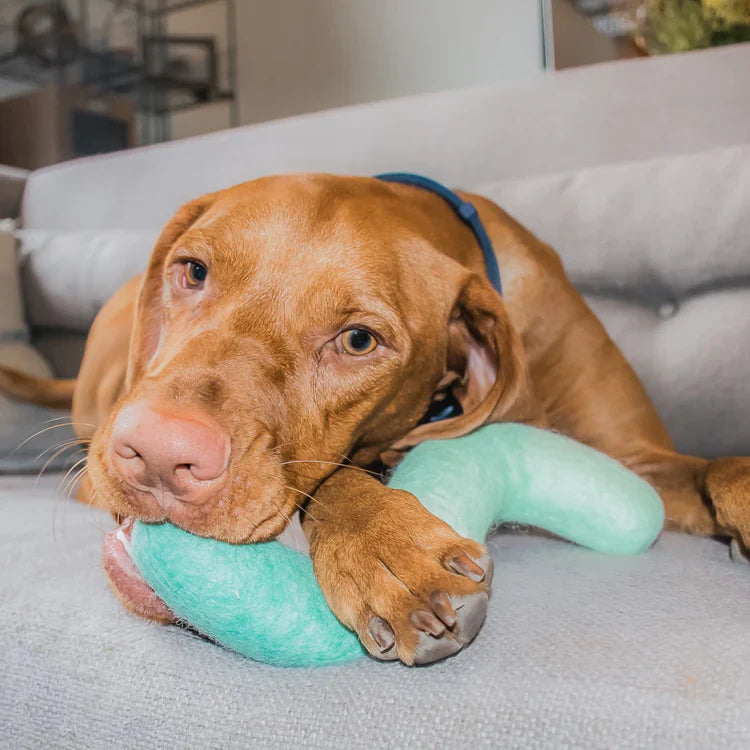 Jouet en feutre Noodle