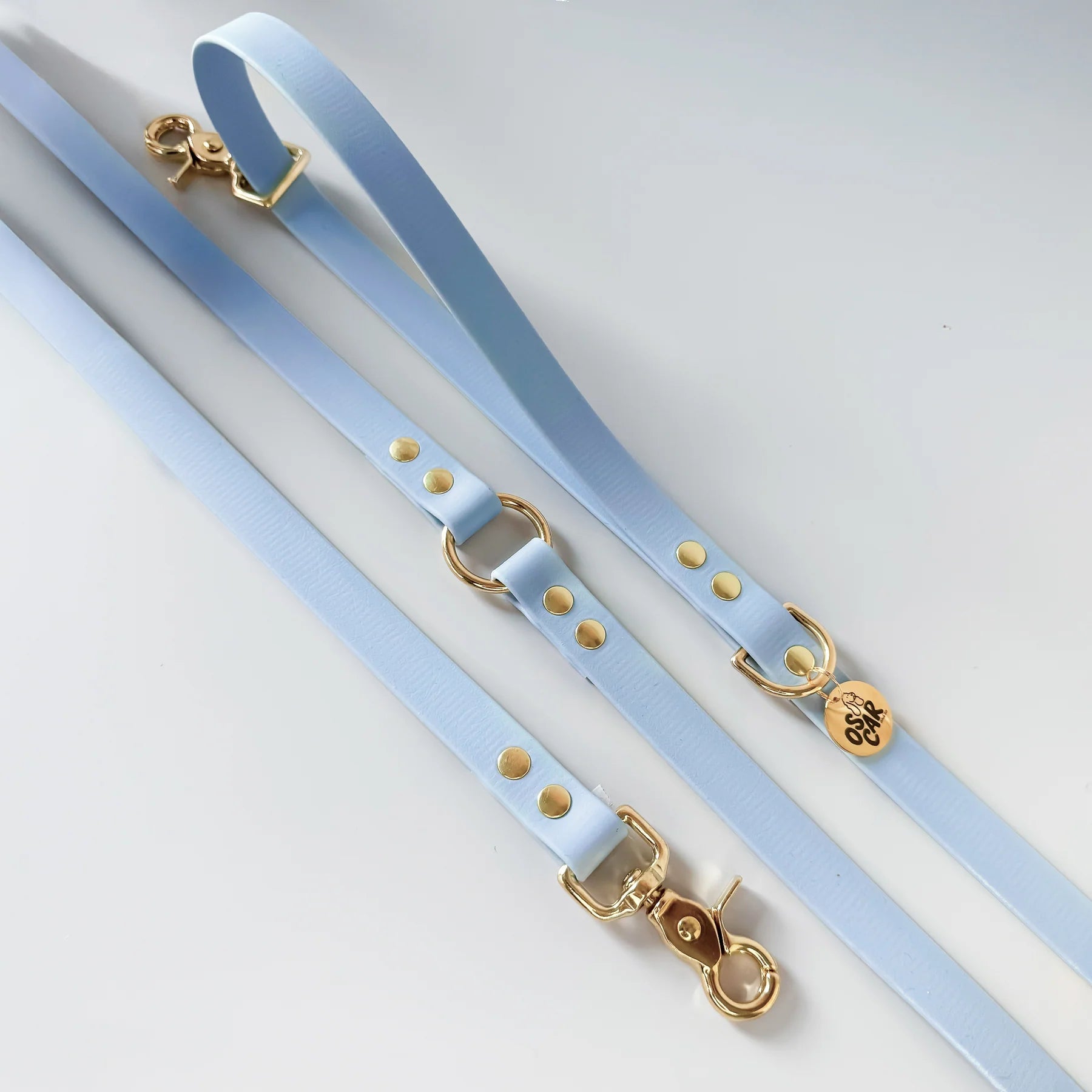 Laisse multi-positions