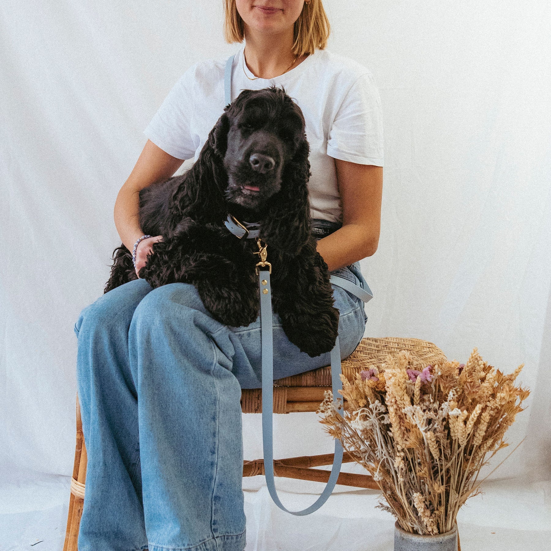 Laisse multi-positions