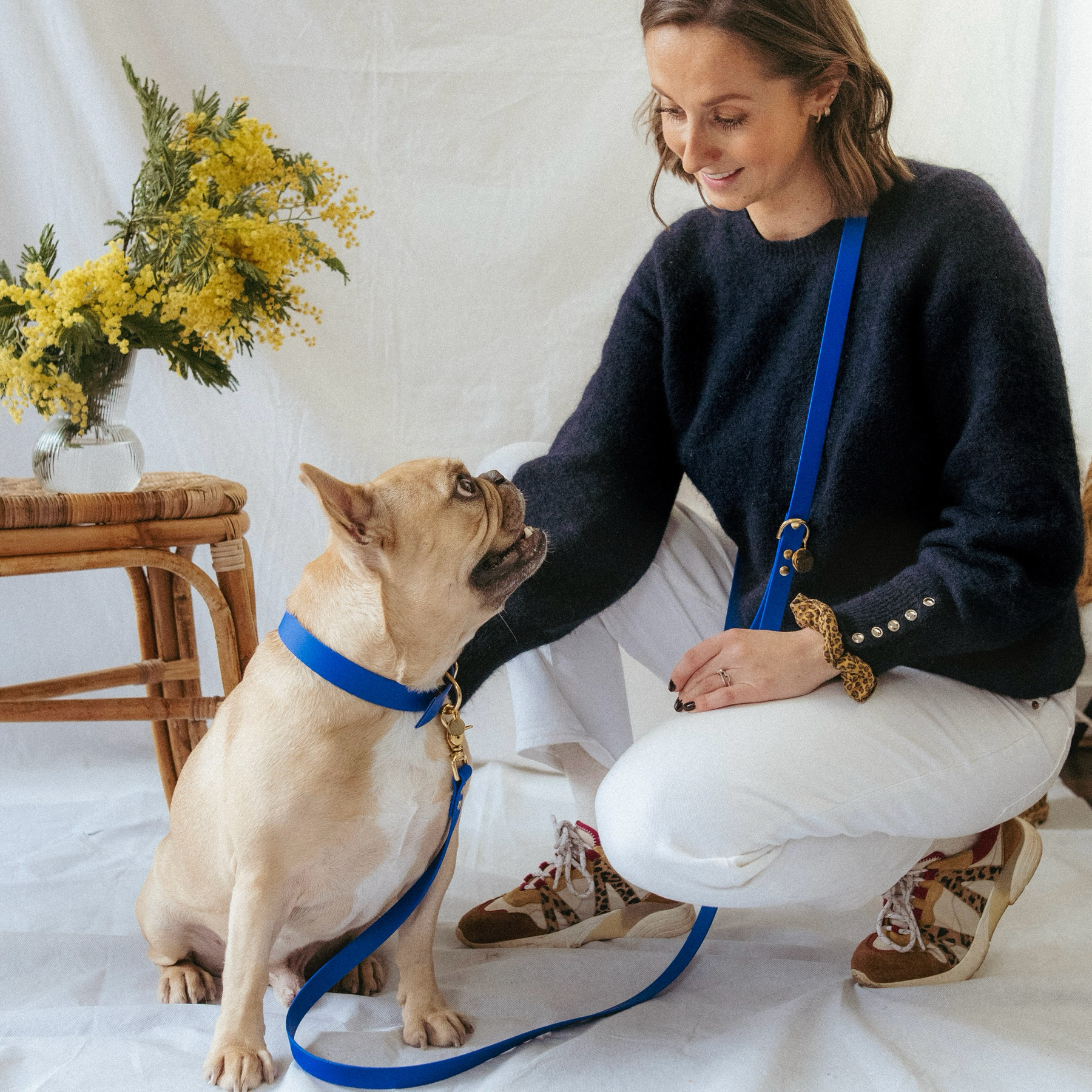 Laisse multi-positions