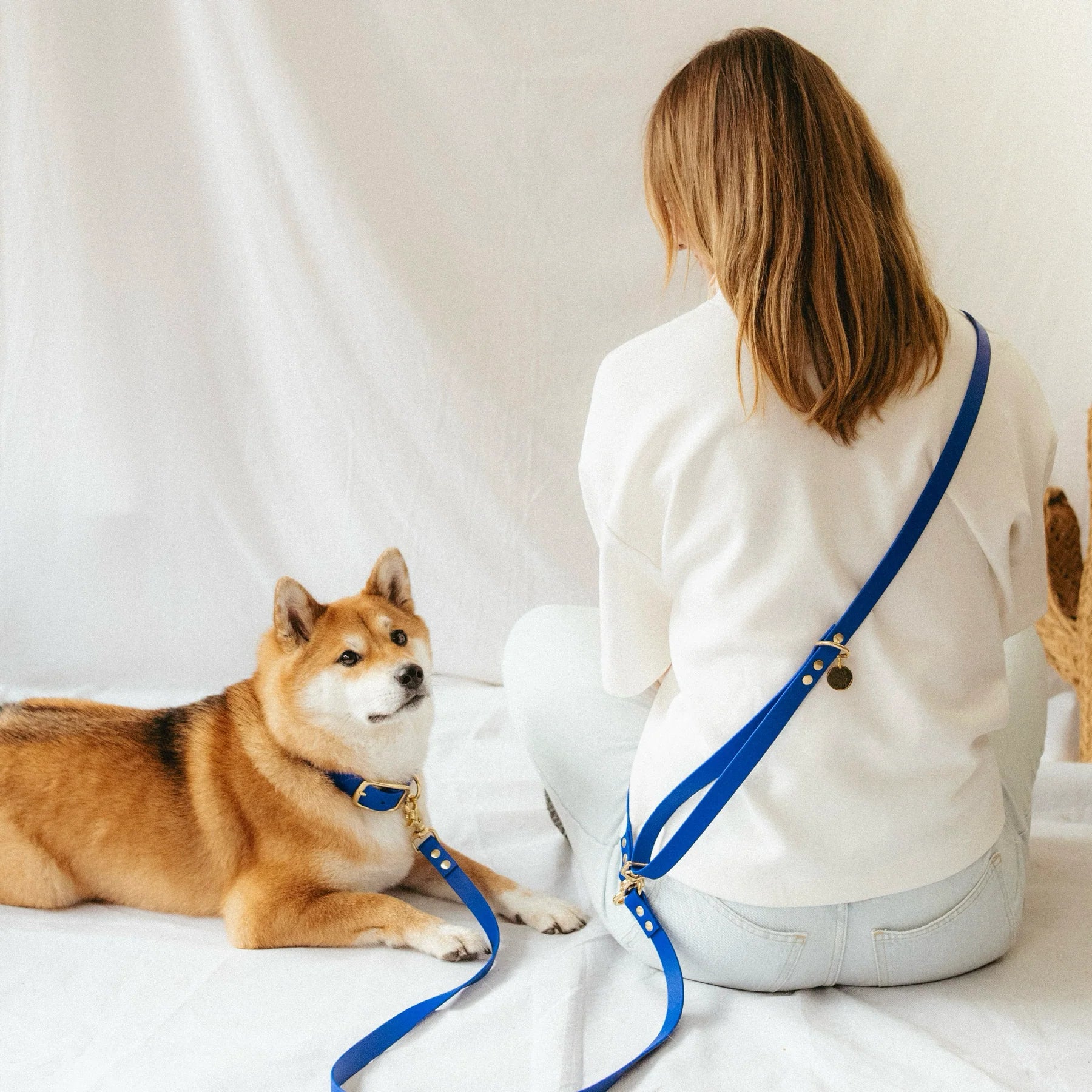 Laisse multi-positions