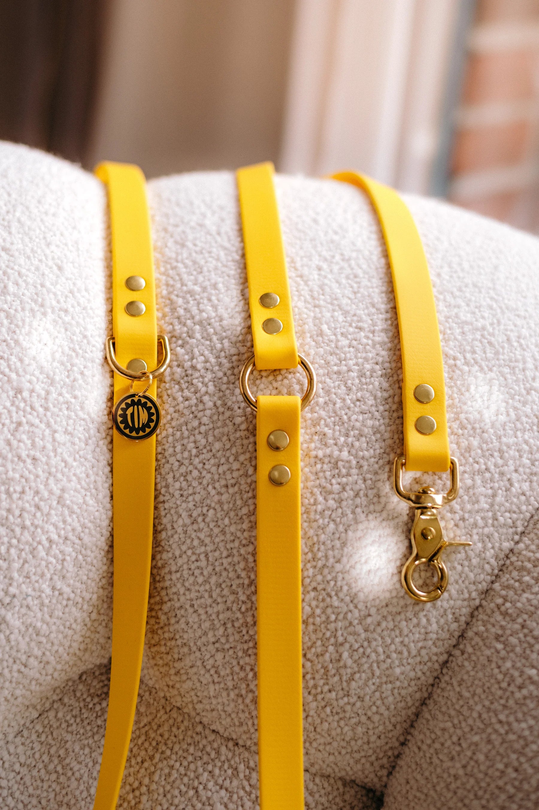 Laisse multi-positions