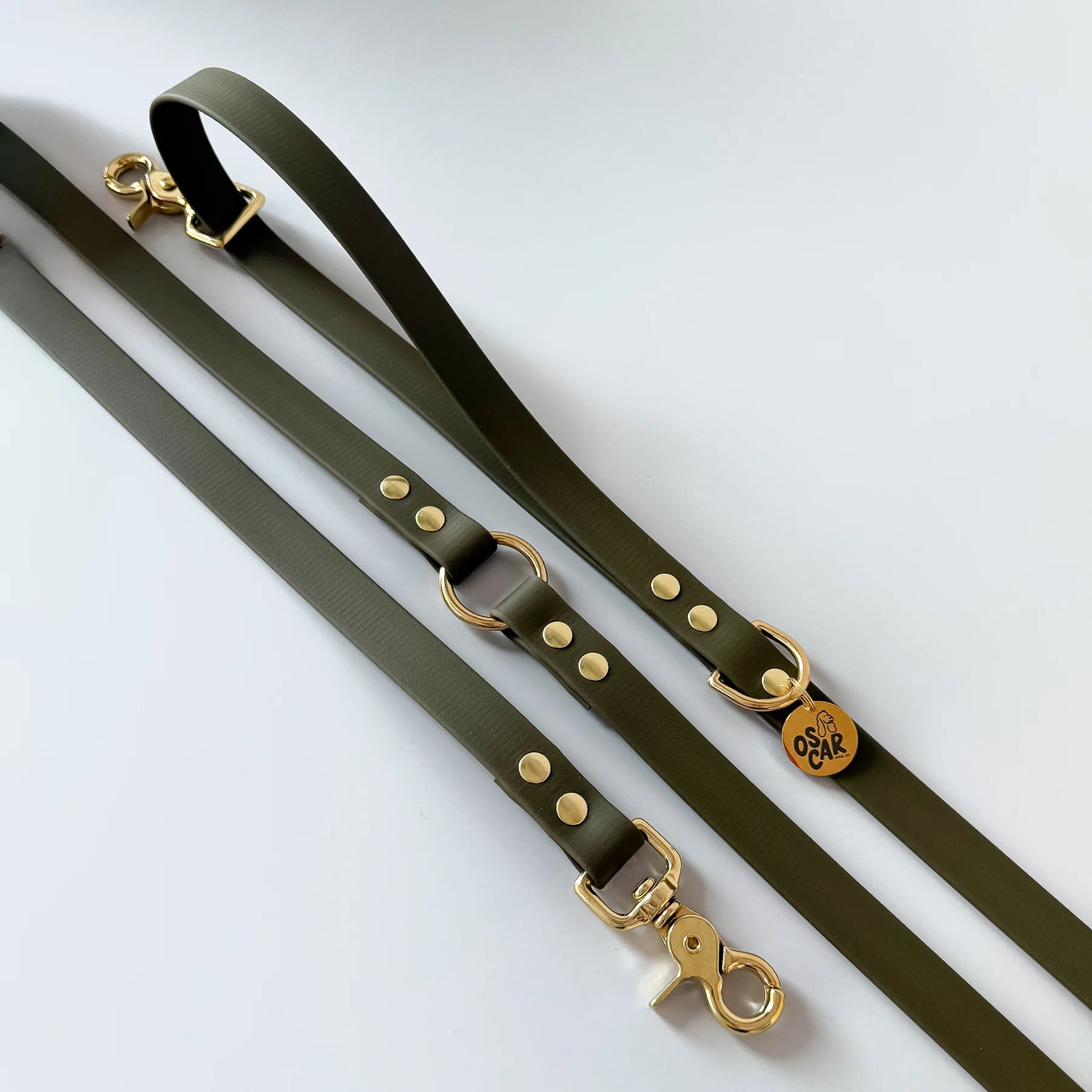 Laisse multi-positions