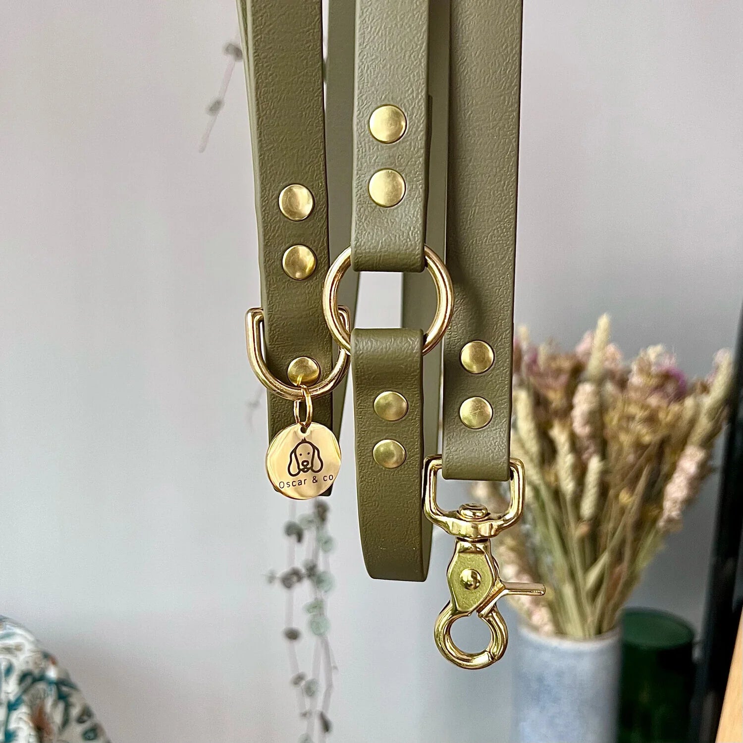 Laisse multi-positions